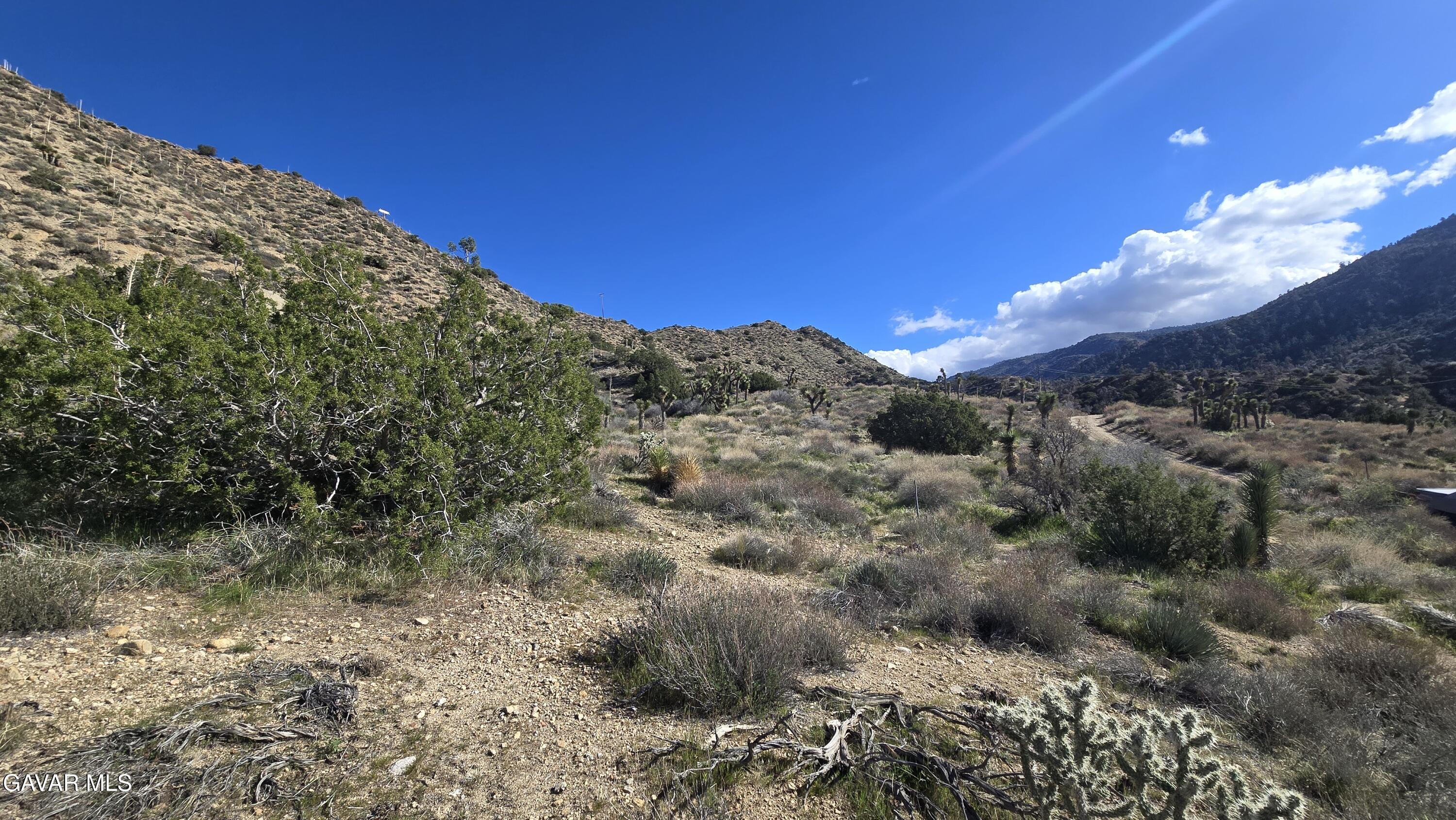 Pinon Road To Mescal Highlands Property Photo 20