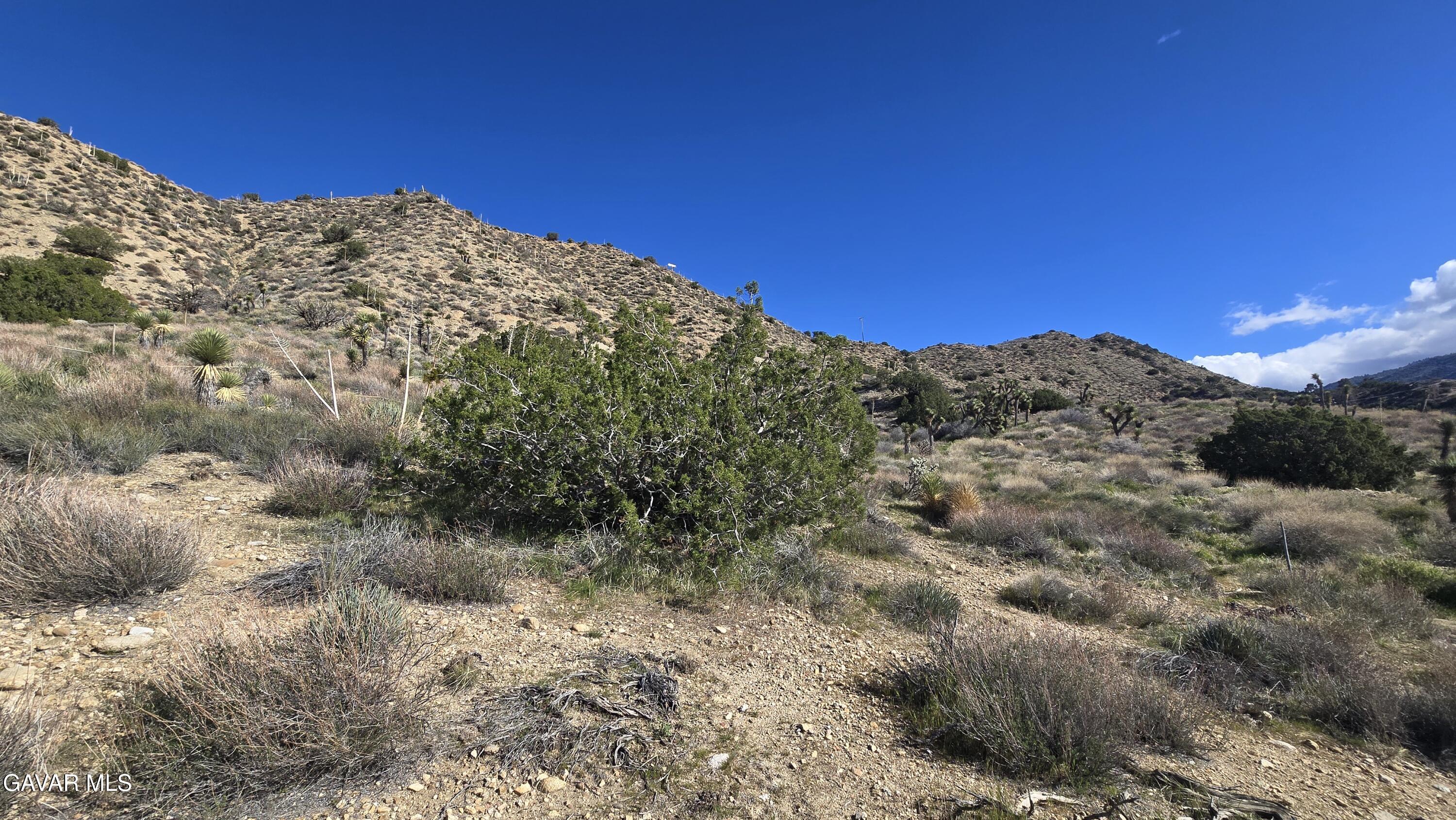 Pinon Road To Mescal Highlands Property Photo 21
