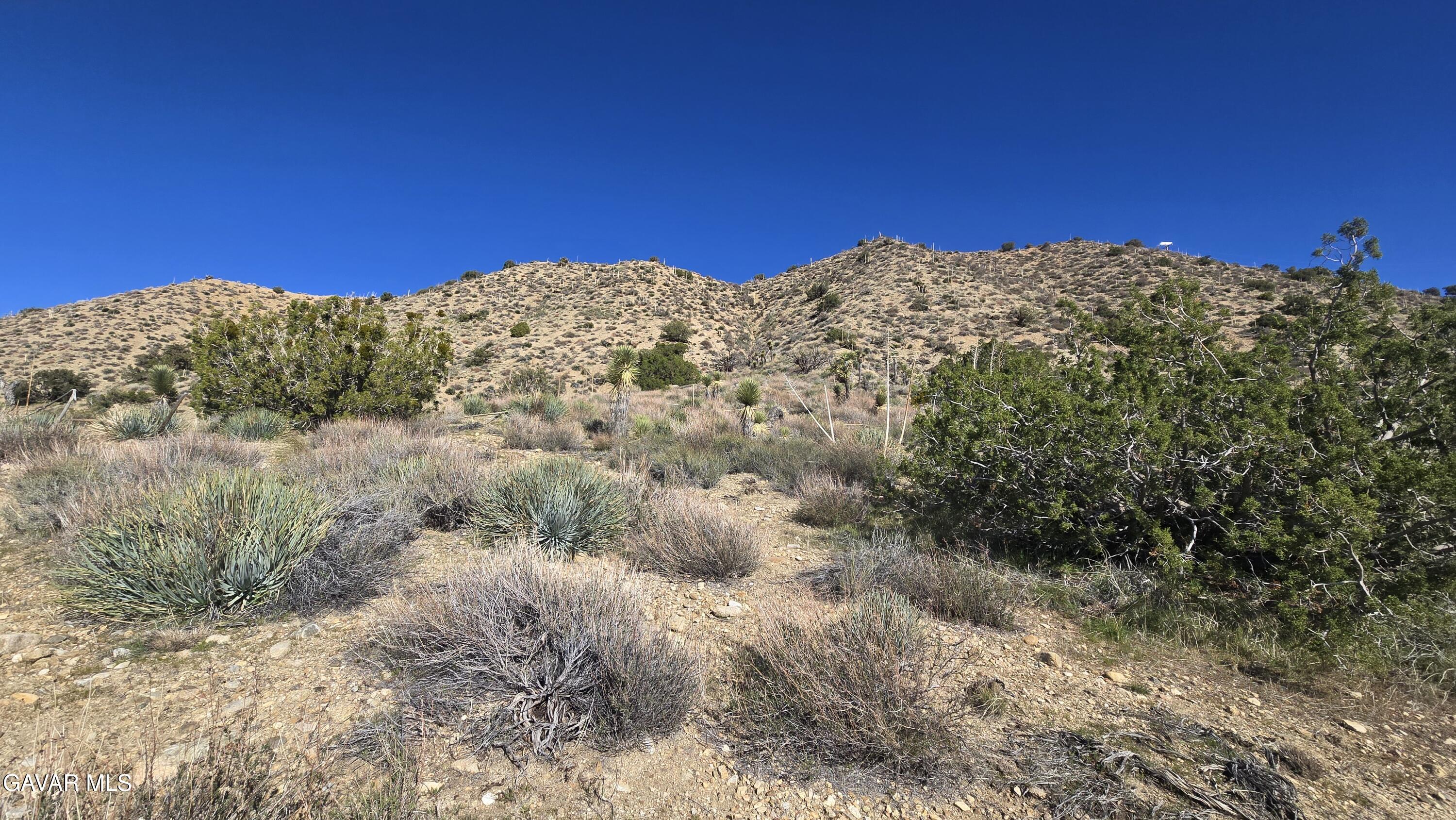 Pinon Road To Mescal Highlands Property Photo 22