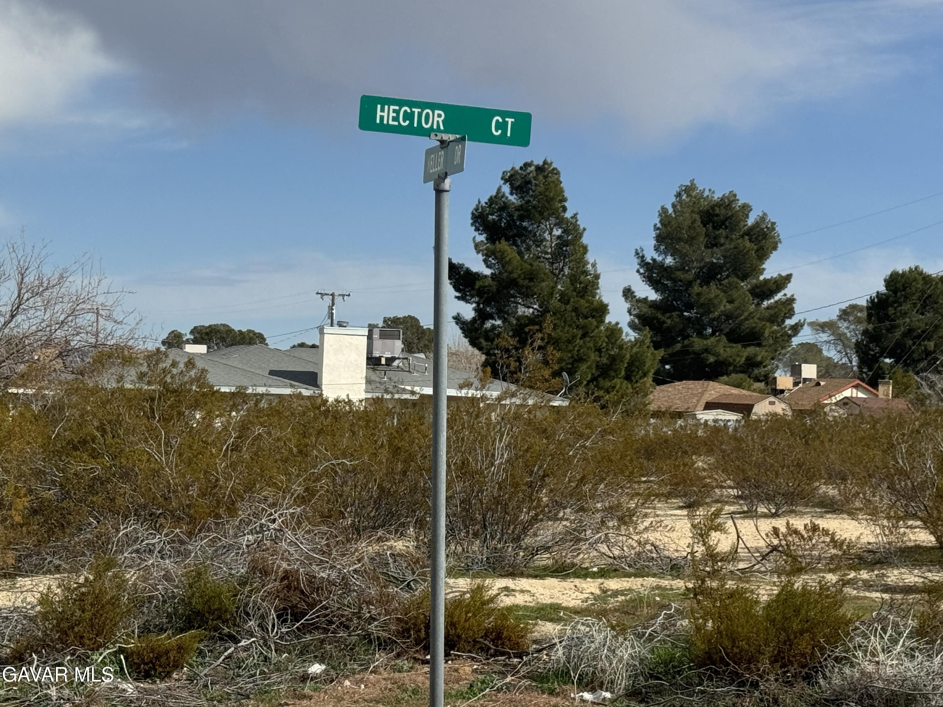 Hector Court Property Photo 3