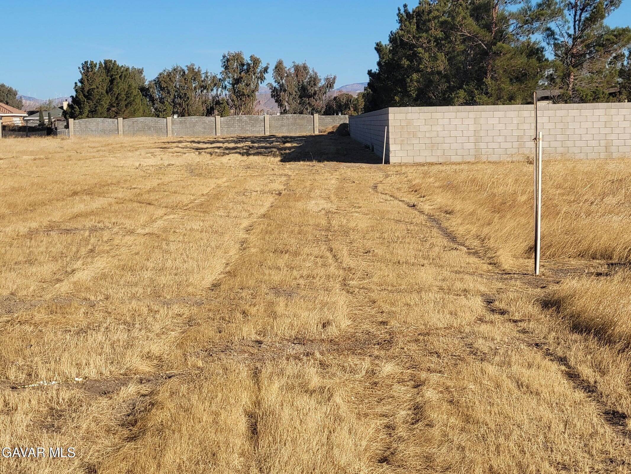 Ave D Vic 81 Stw Property Photo 8
