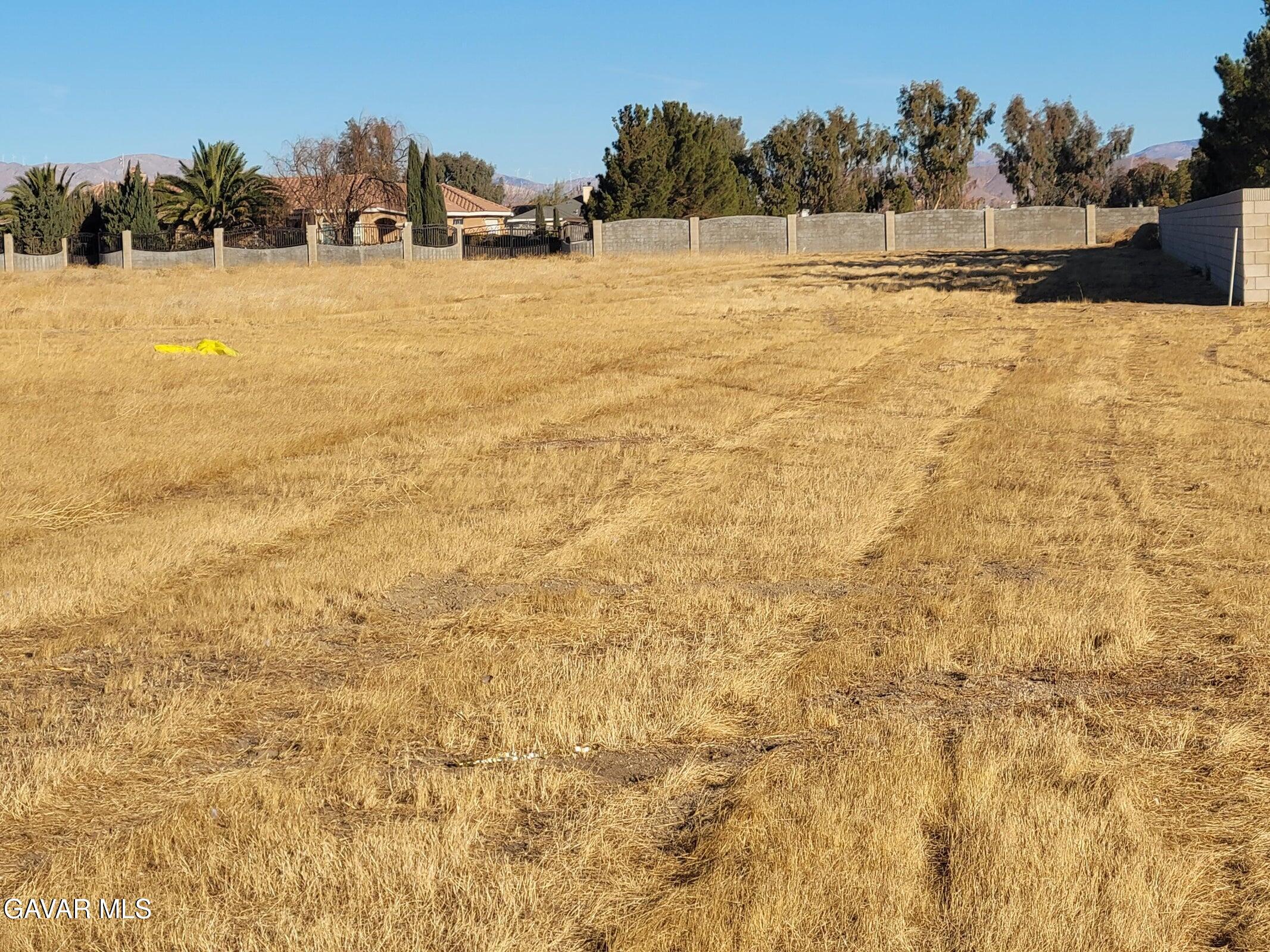 Ave D Vic 81 Stw Property Photo 9