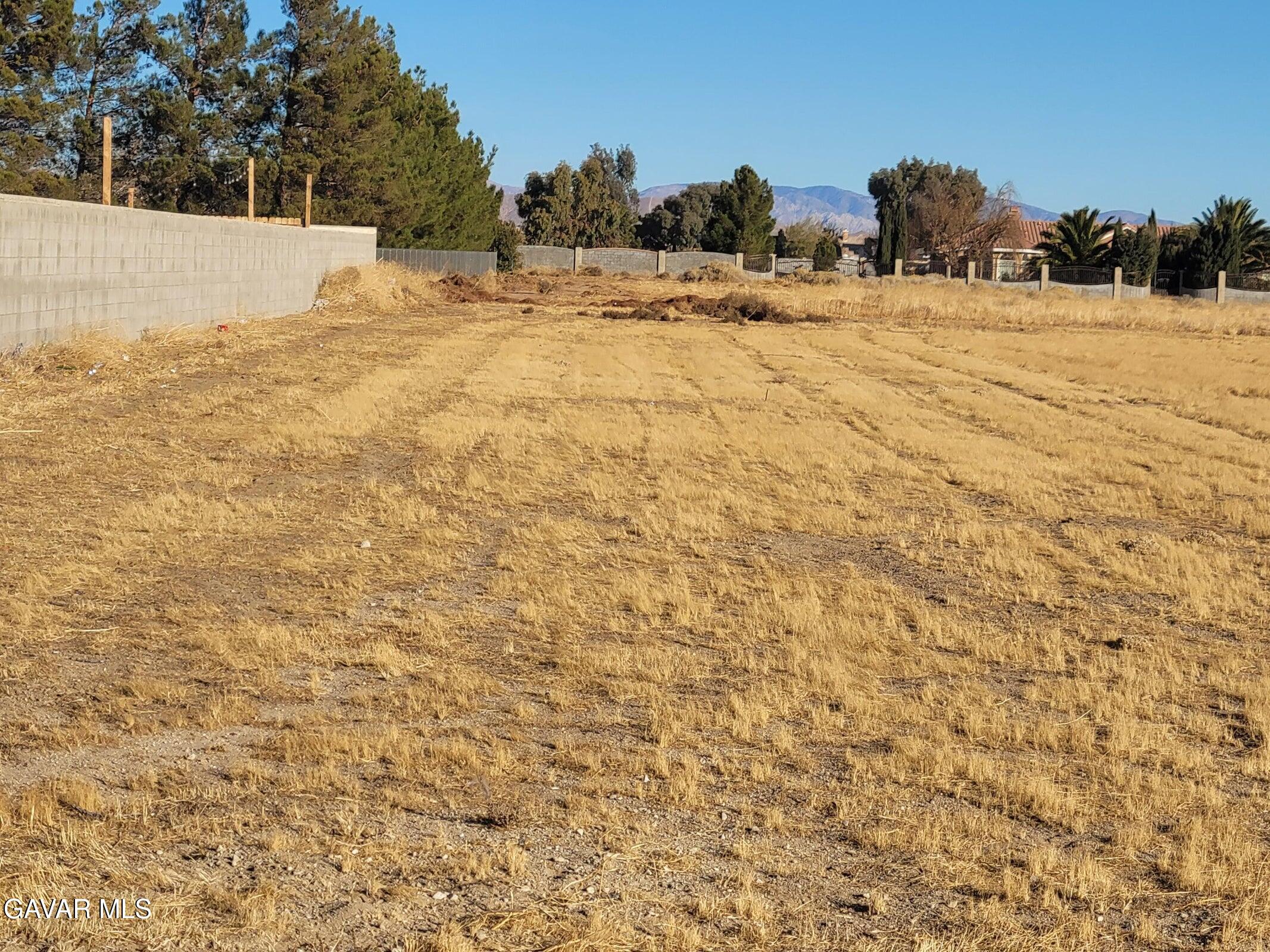 Ave D Vic 81 Stw Property Photo 12