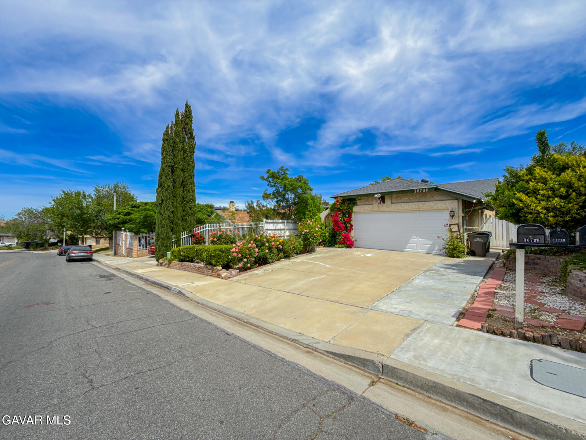 36790 Spanish Broom Drive Property Photo 1
