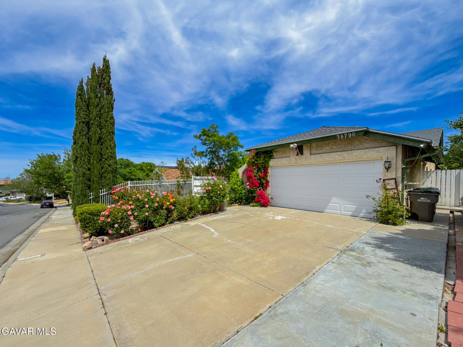 36790 Spanish Broom Drive Property Photo 6