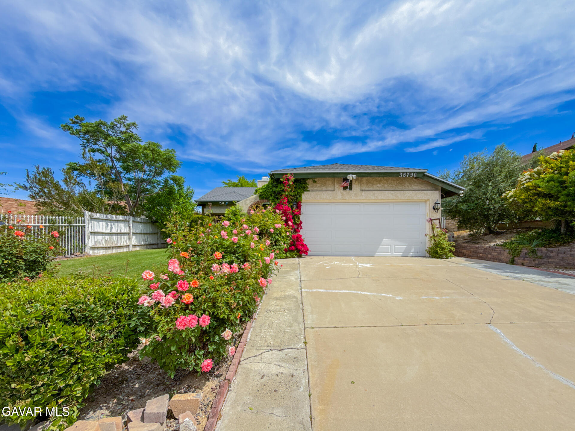 36790 Spanish Broom Drive Property Photo 7