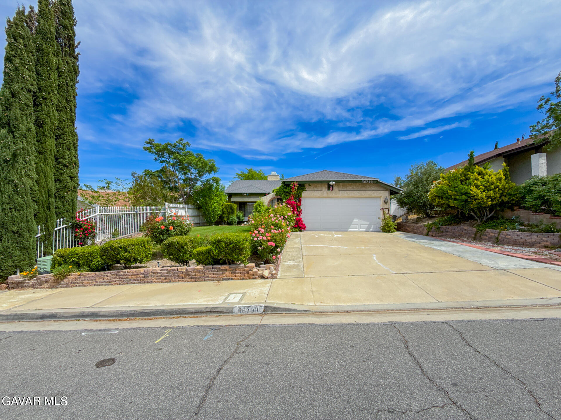 36790 Spanish Broom Drive Property Photo 9