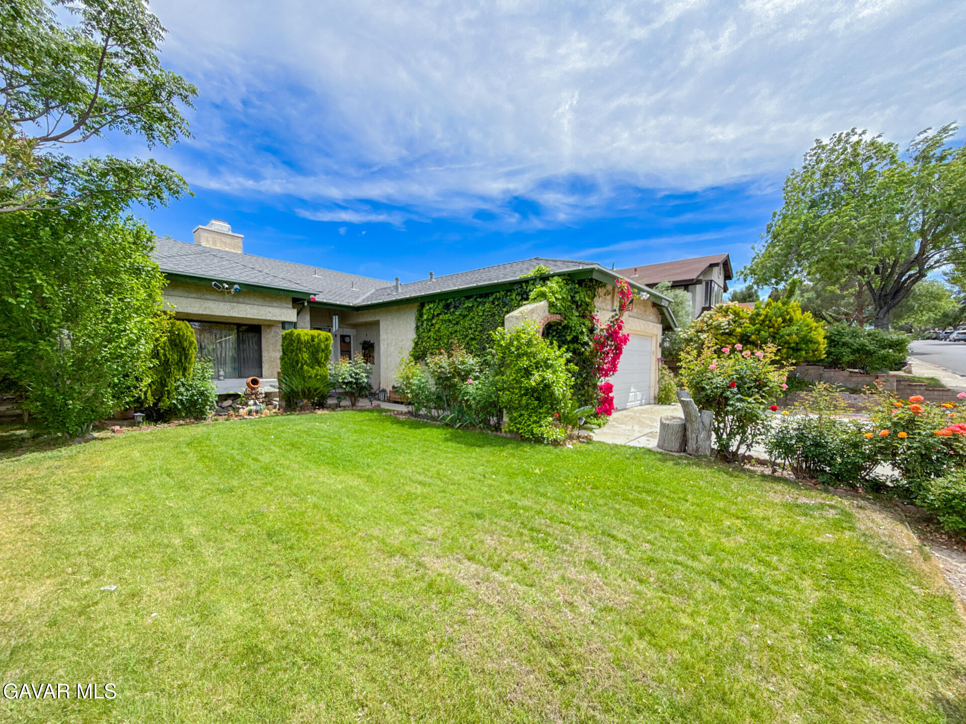 36790 Spanish Broom Drive Property Photo 10
