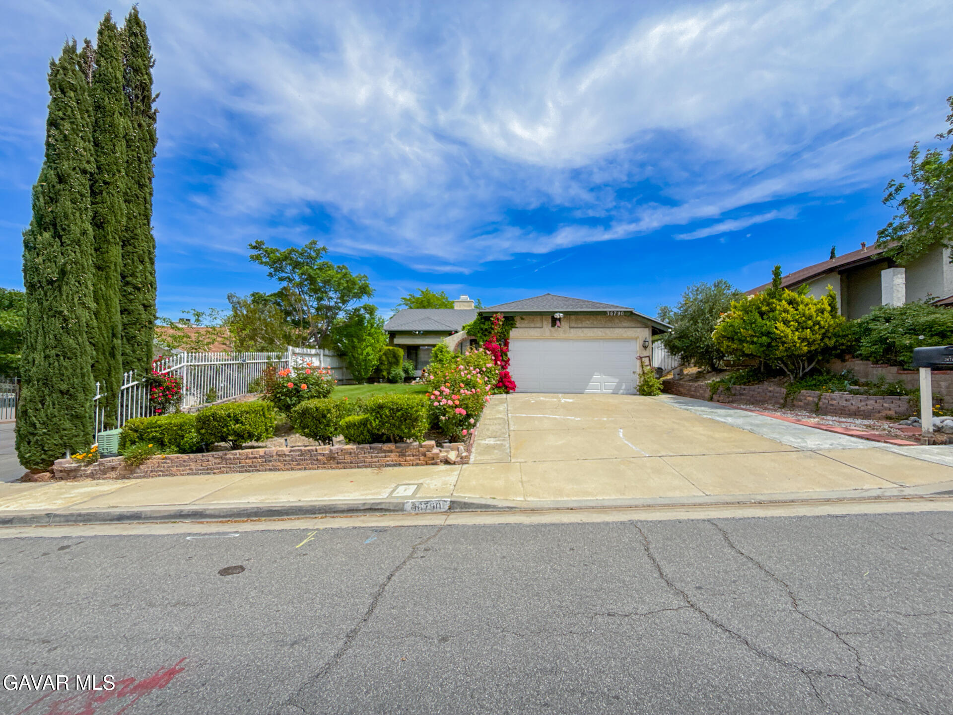 36790 Spanish Broom Drive Property Photo 11