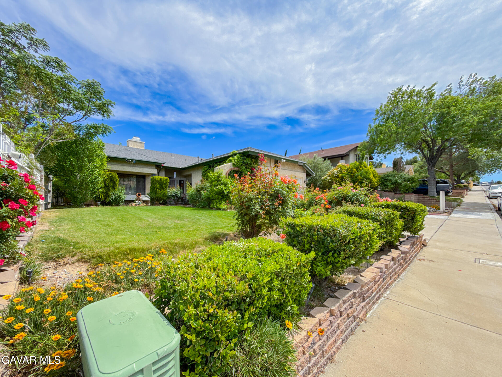 36790 Spanish Broom Drive Property Photo 13