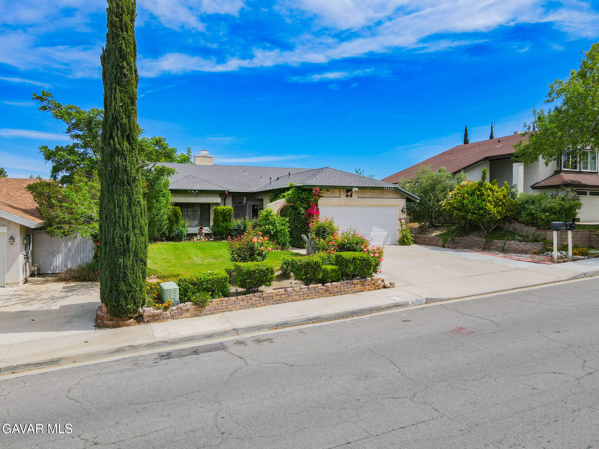 36790 Spanish Broom Drive Property Photo 51
