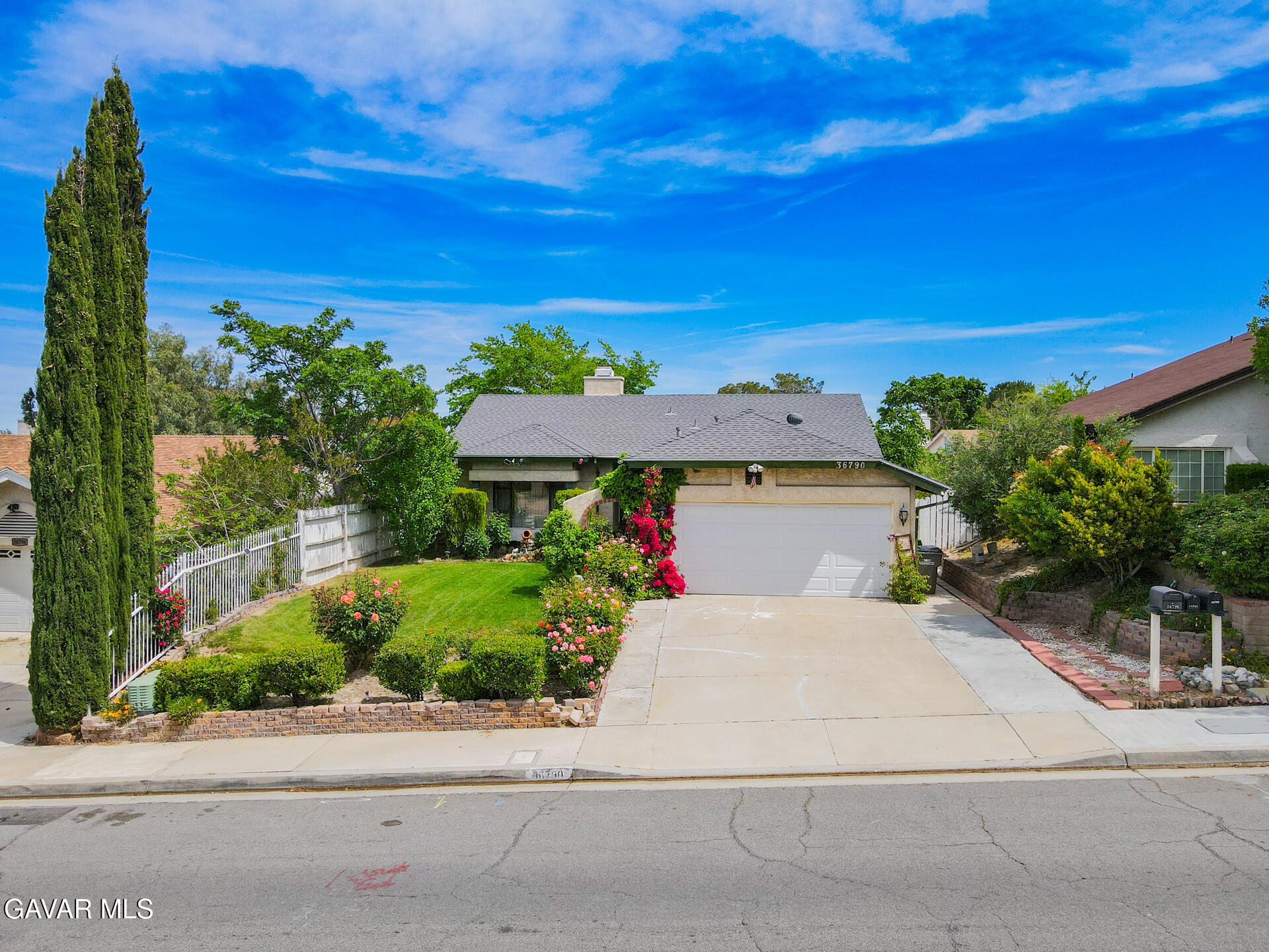 36790 Spanish Broom Drive Property Photo 54