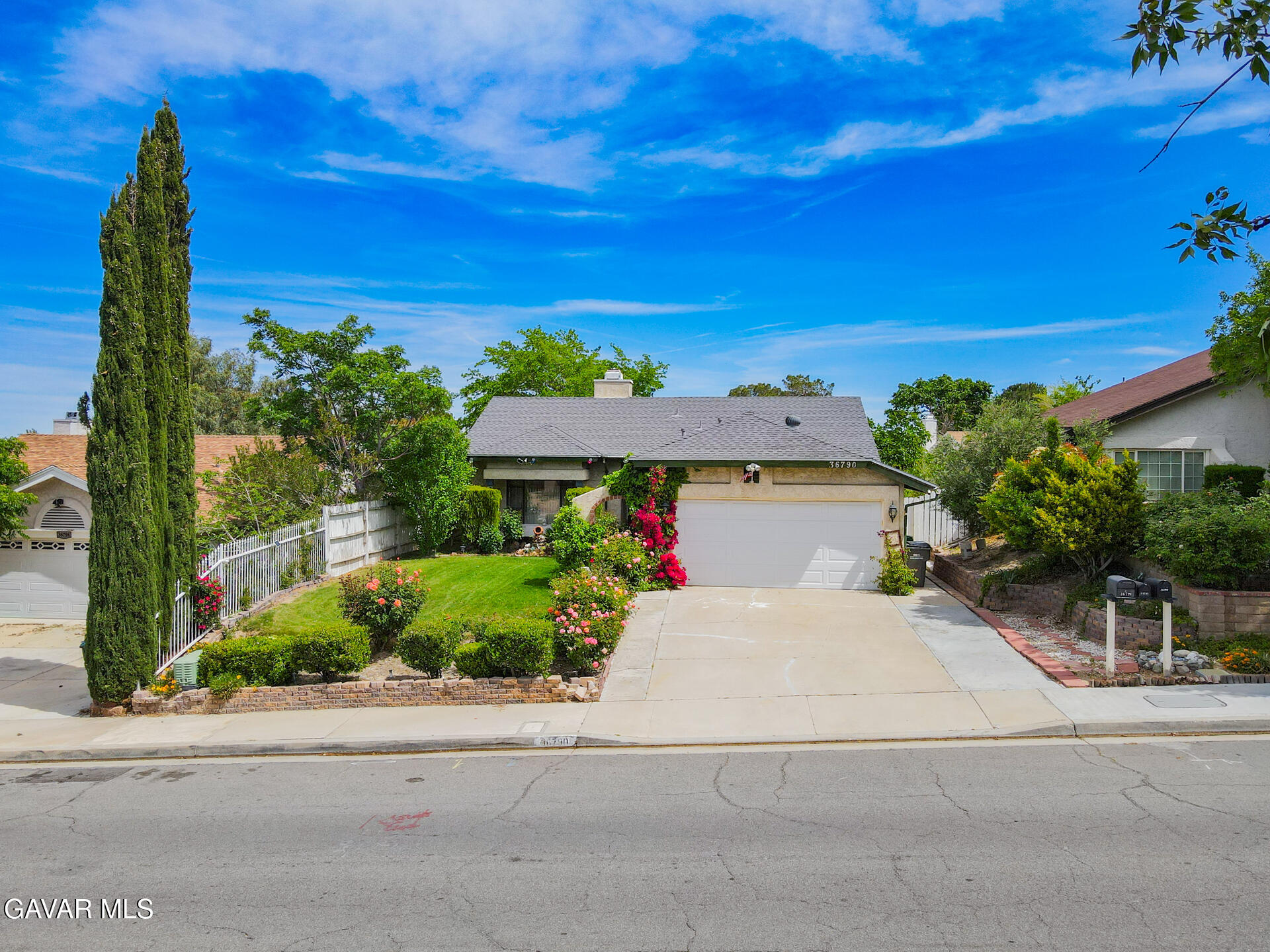 36790 Spanish Broom Drive Property Photo 55