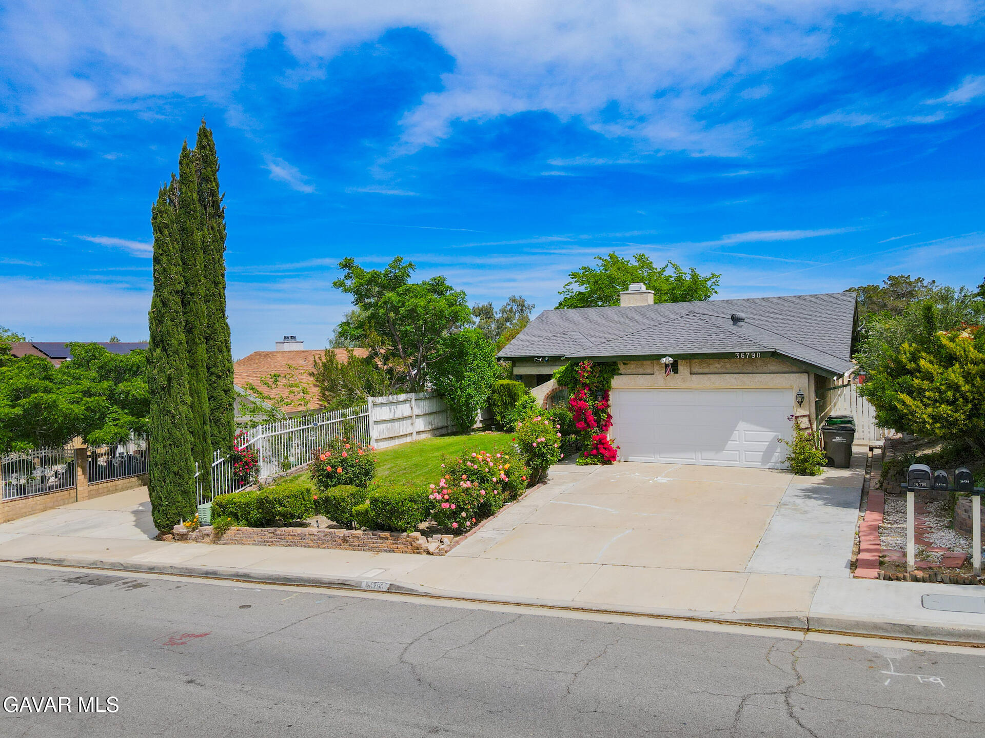 36790 Spanish Broom Drive Property Photo 57