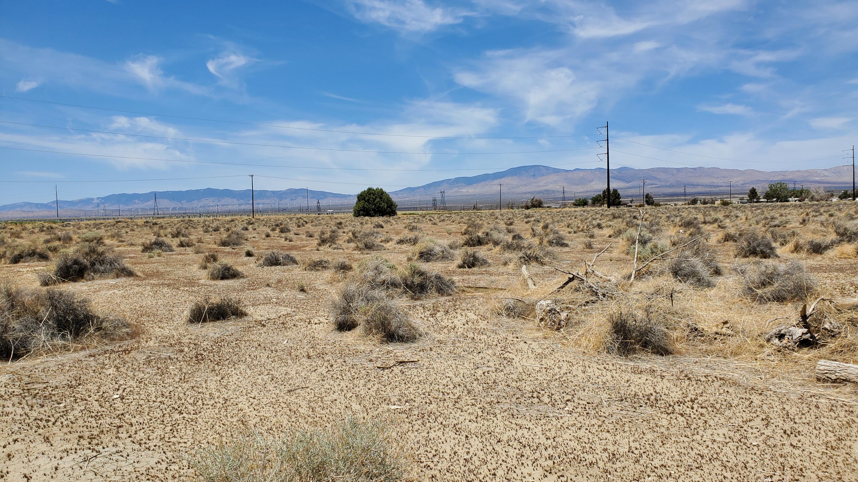 Dinkey Ave Property Photo 3