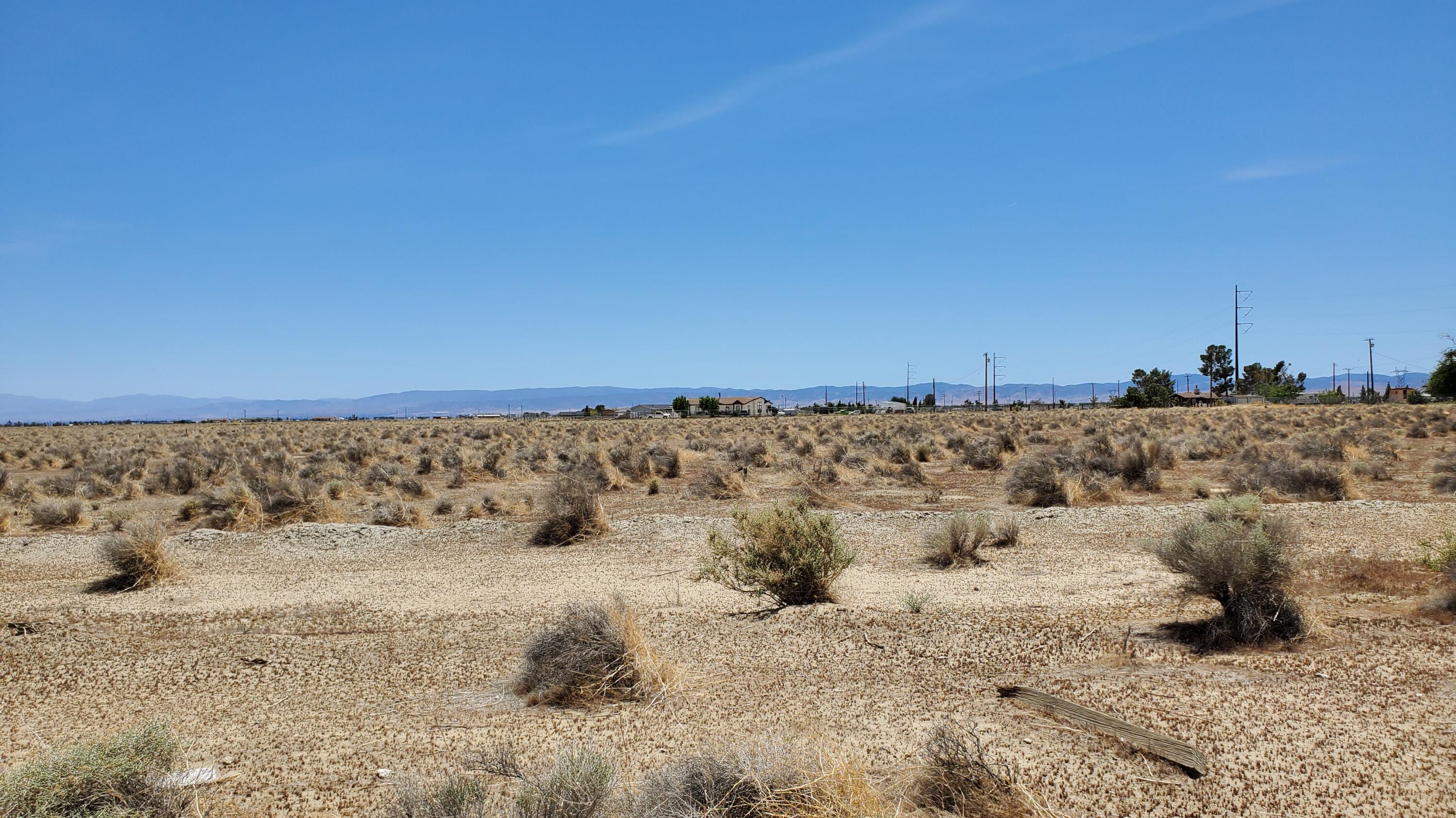 Dinkey Ave Property Photo 6