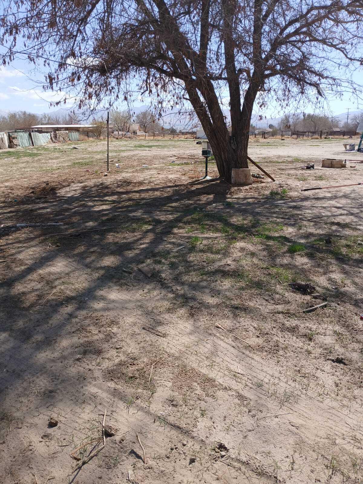 11028 E Avenue R Property Photo 24