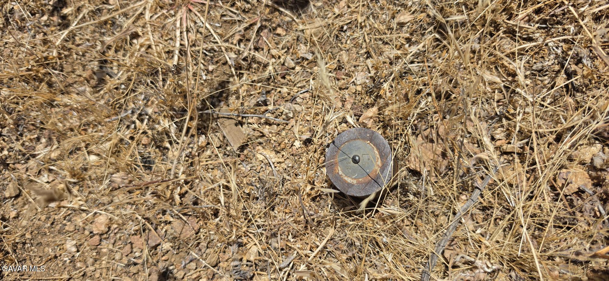 Vic 31 Stw Mayme Property Photo 4