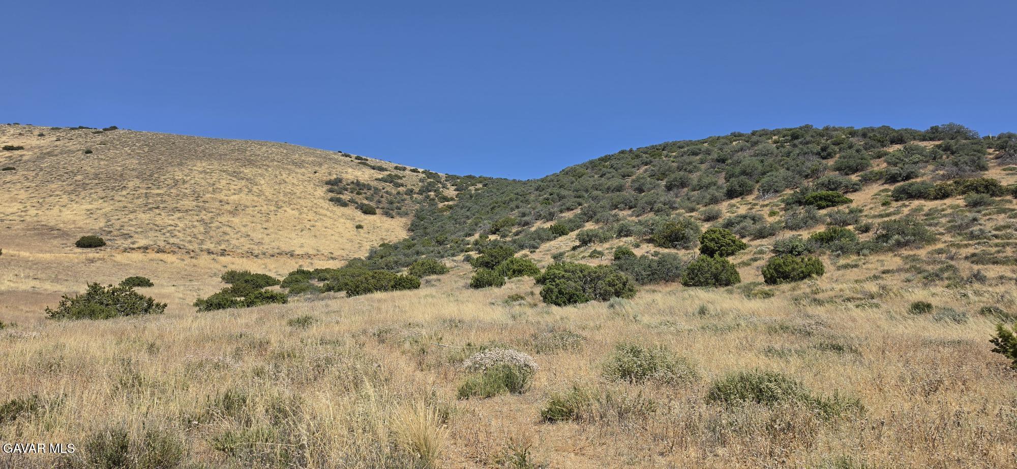 Vic 31 Stw Mayme Property Photo 5