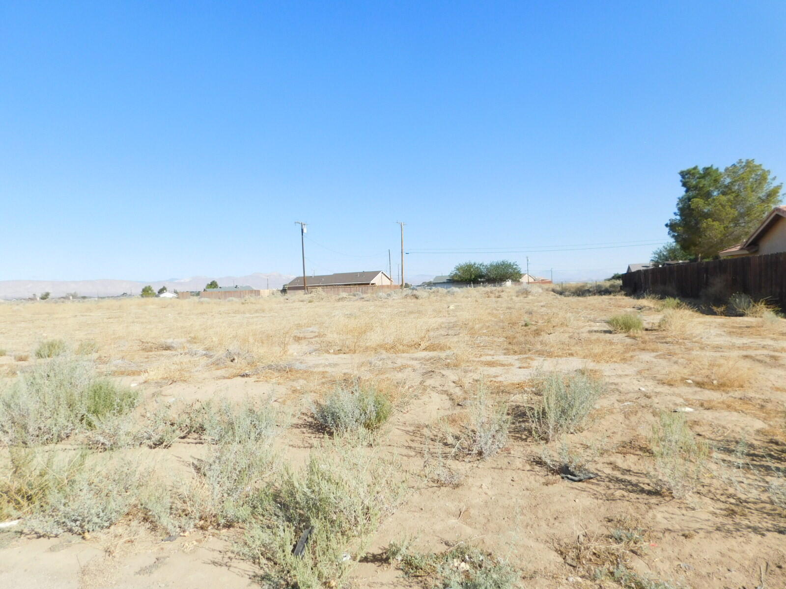 Walpole Avenue Property Photo 1