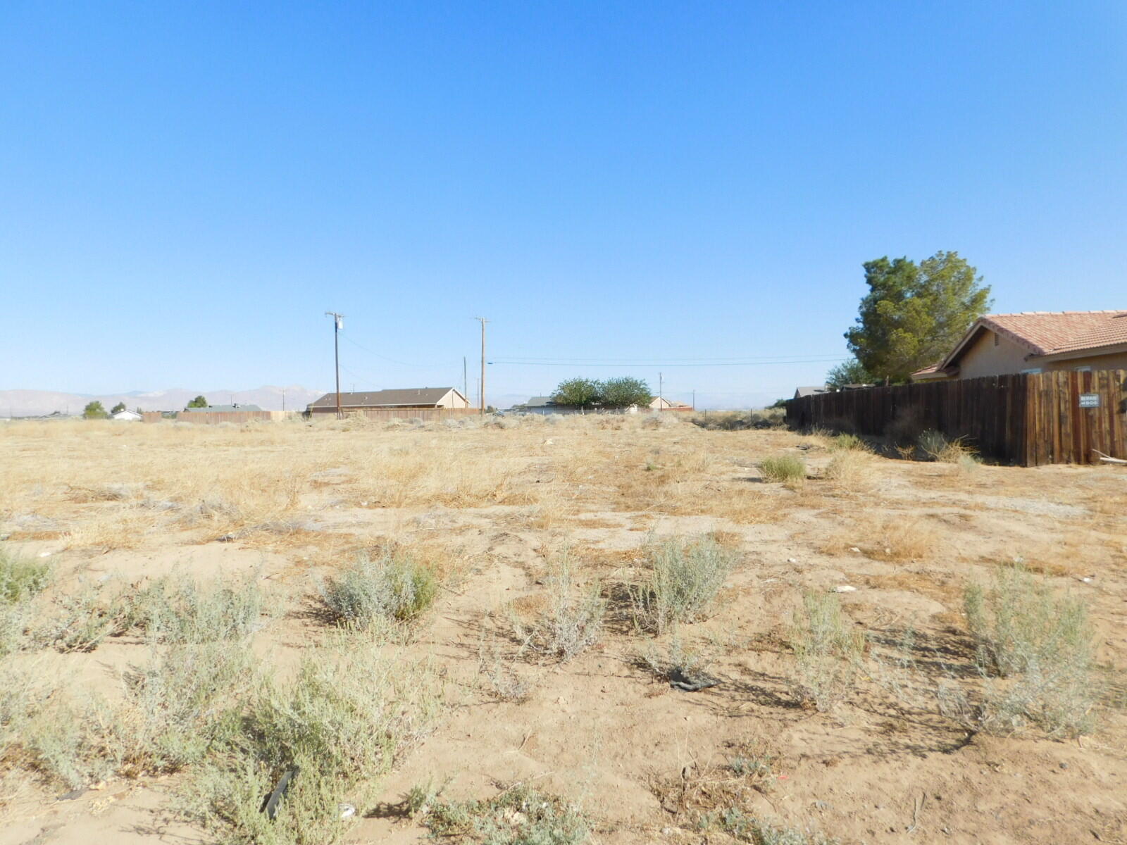 Walpole Avenue Property Photo 3