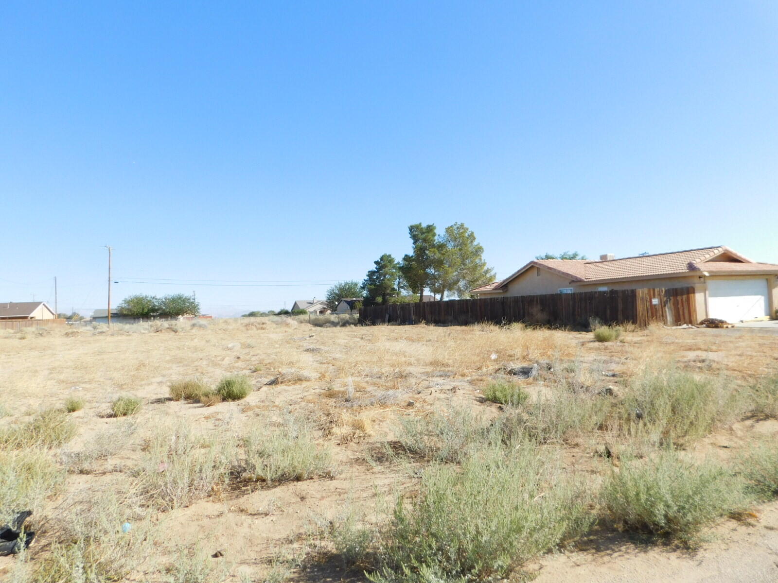 Walpole Avenue Property Photo 6