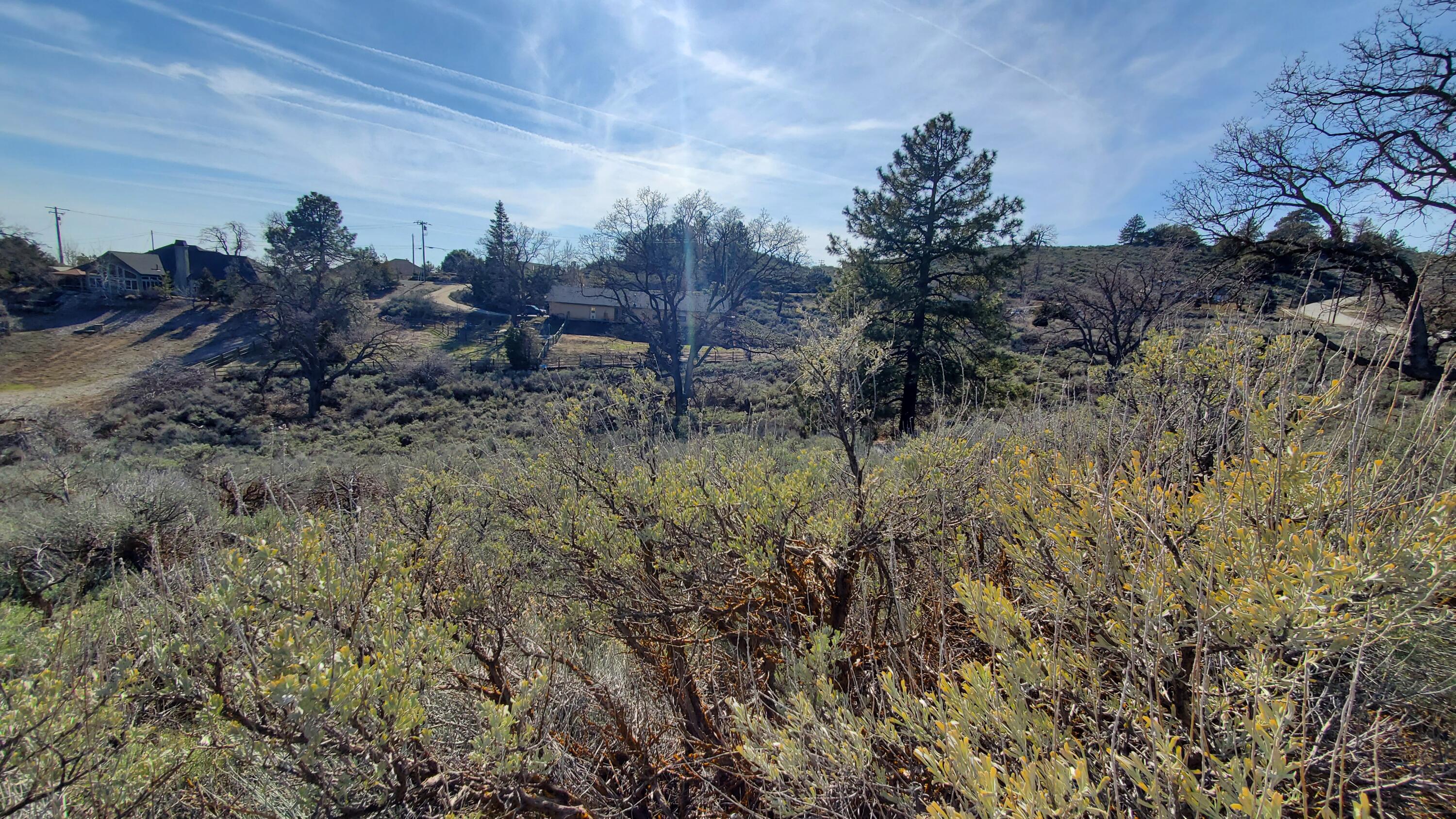 25041 Jacaranda Dr Property Photo 5