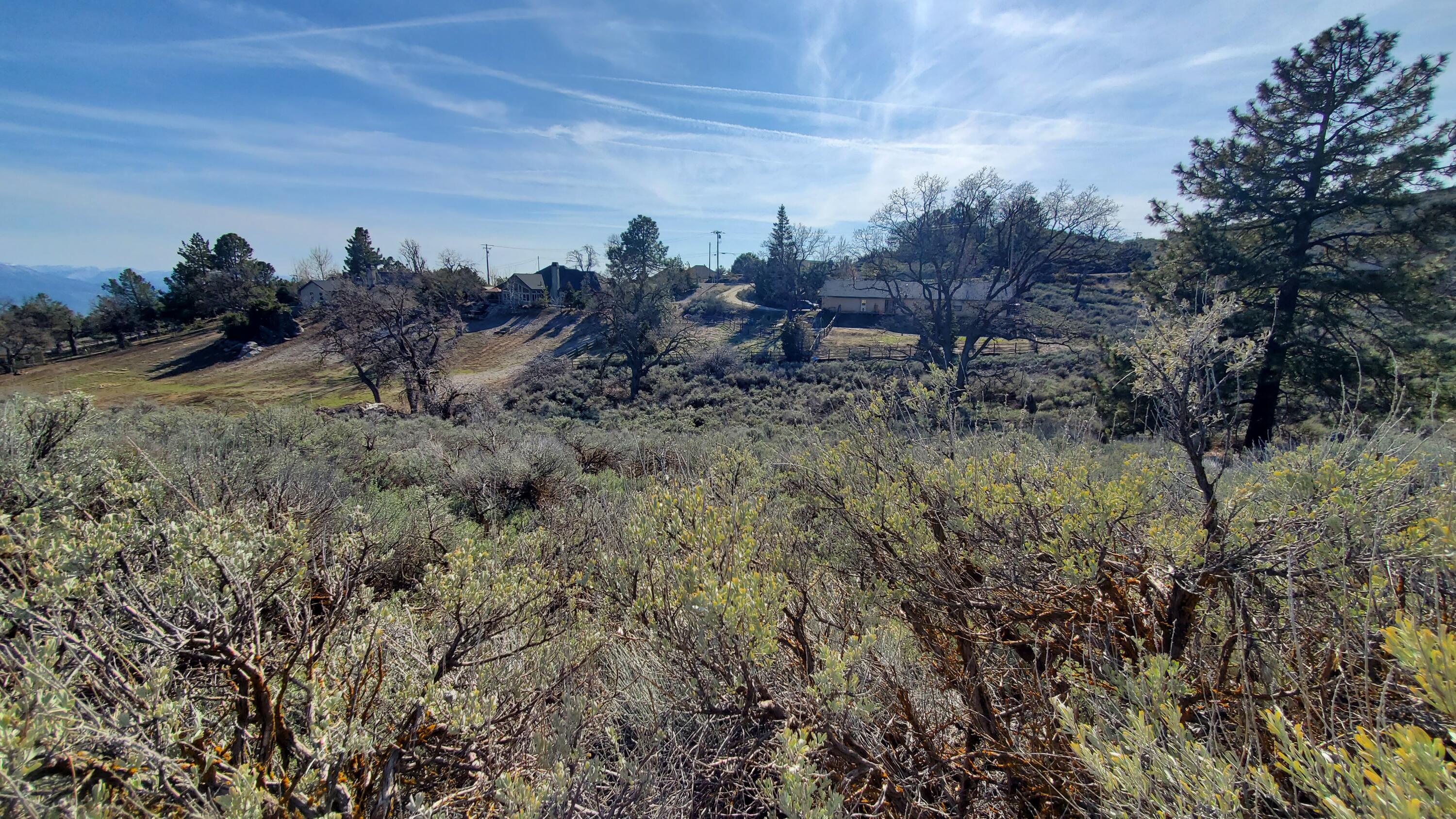 25041 Jacaranda Dr Property Photo 6