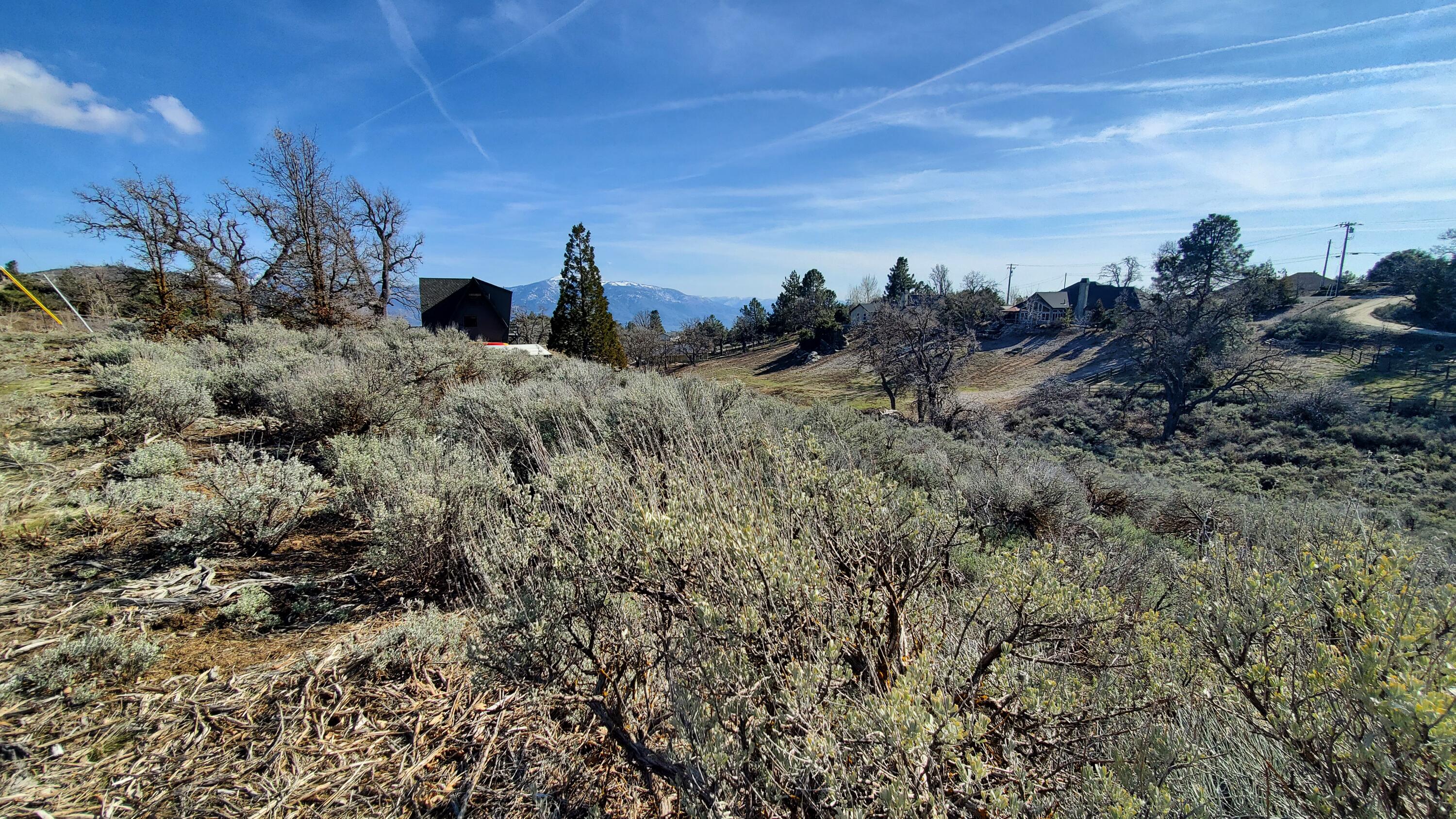 25041 Jacaranda Dr Property Photo 8