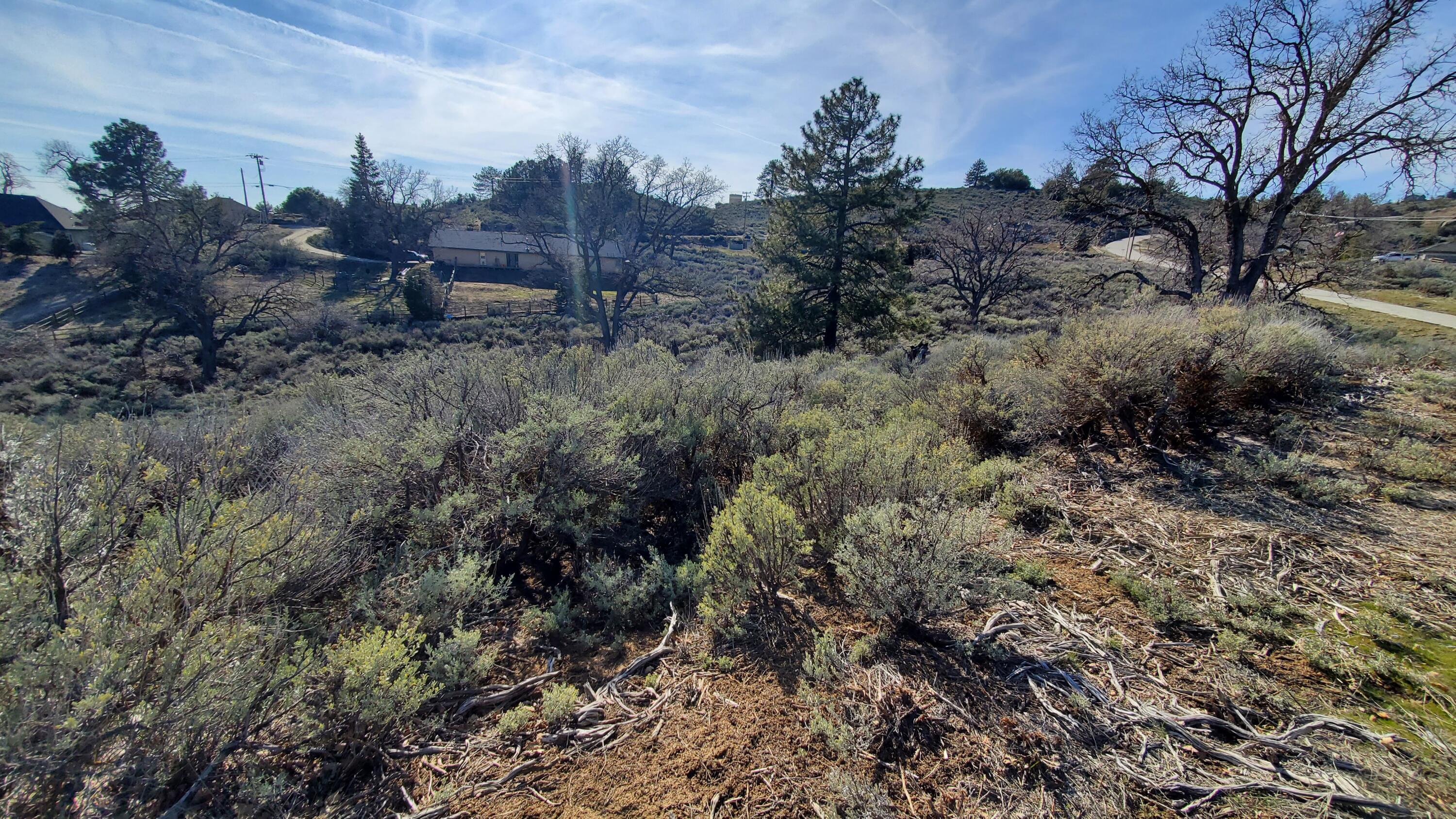 25041 Jacaranda Dr Property Photo 9