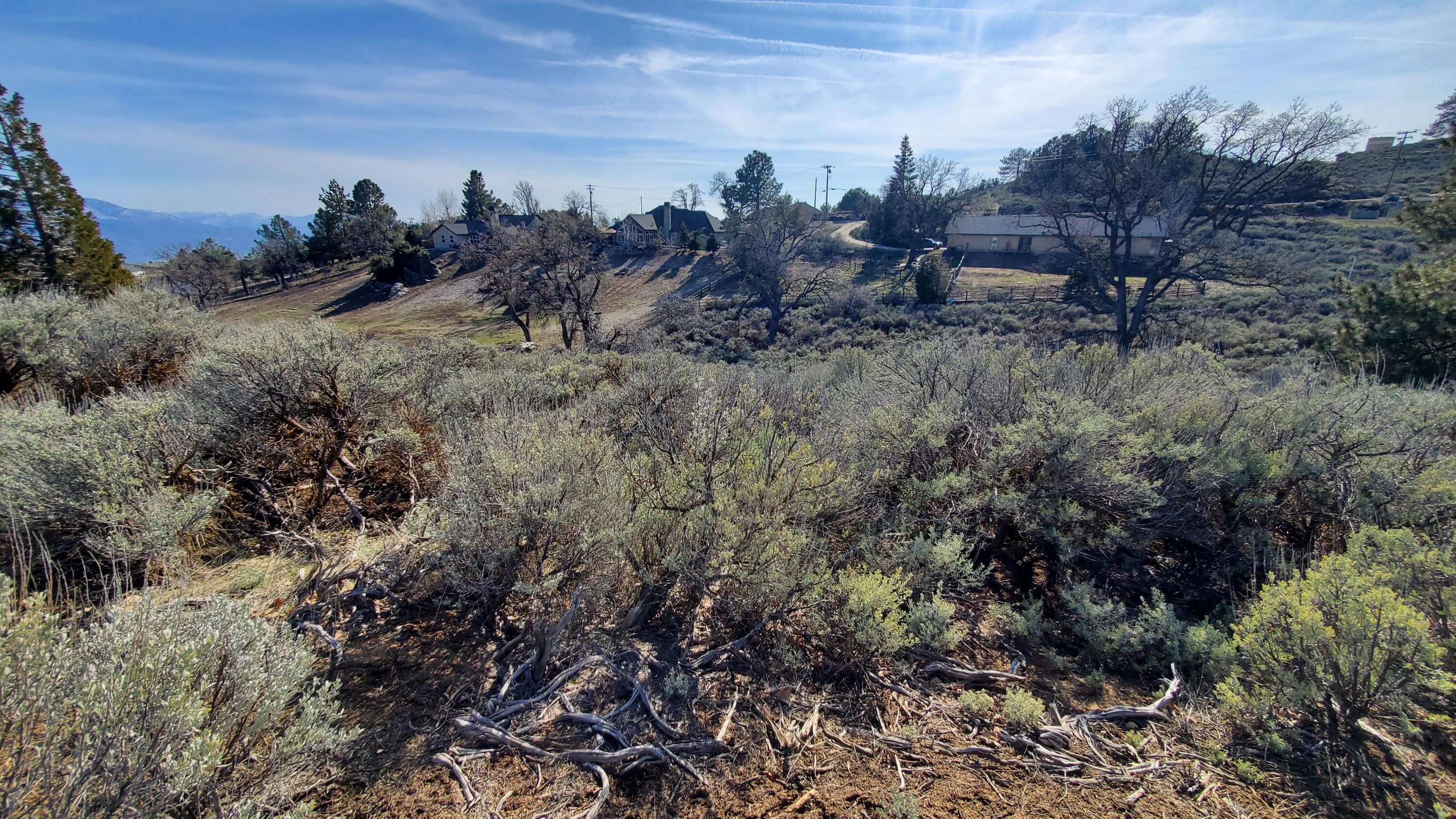 25041 Jacaranda Dr Property Photo 10