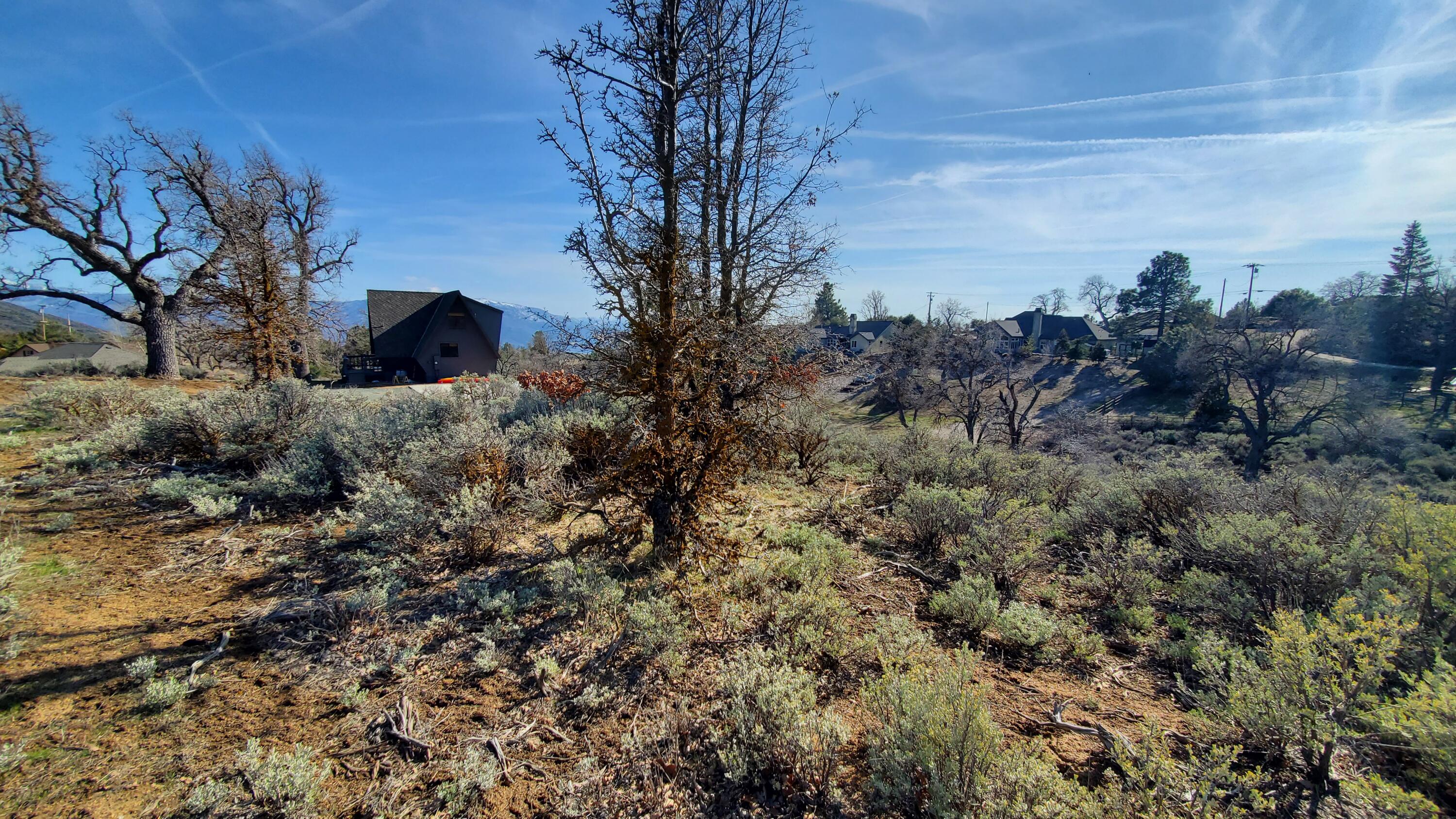 25041 Jacaranda Dr Property Photo 15