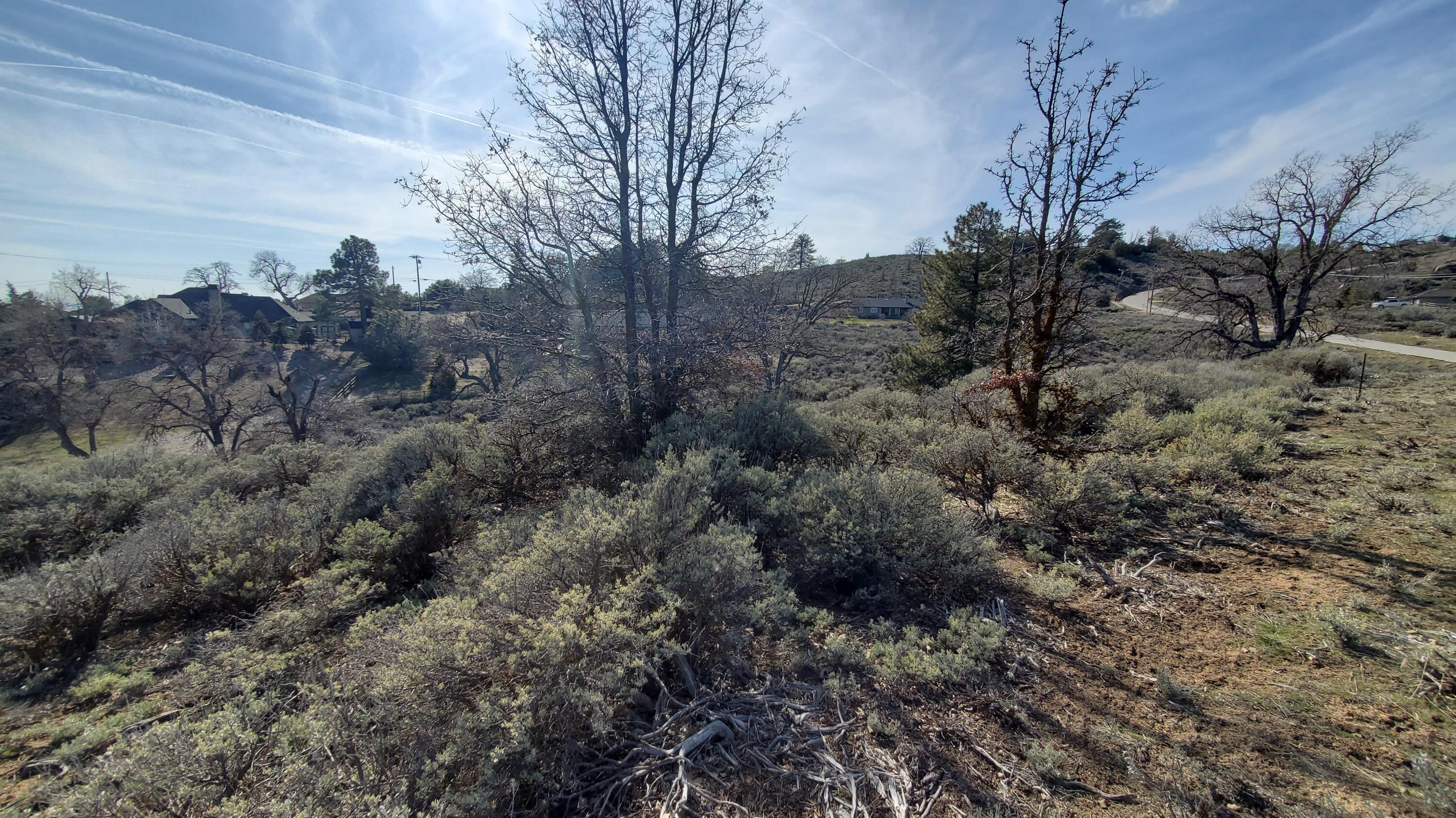 25041 Jacaranda Dr Property Photo 16