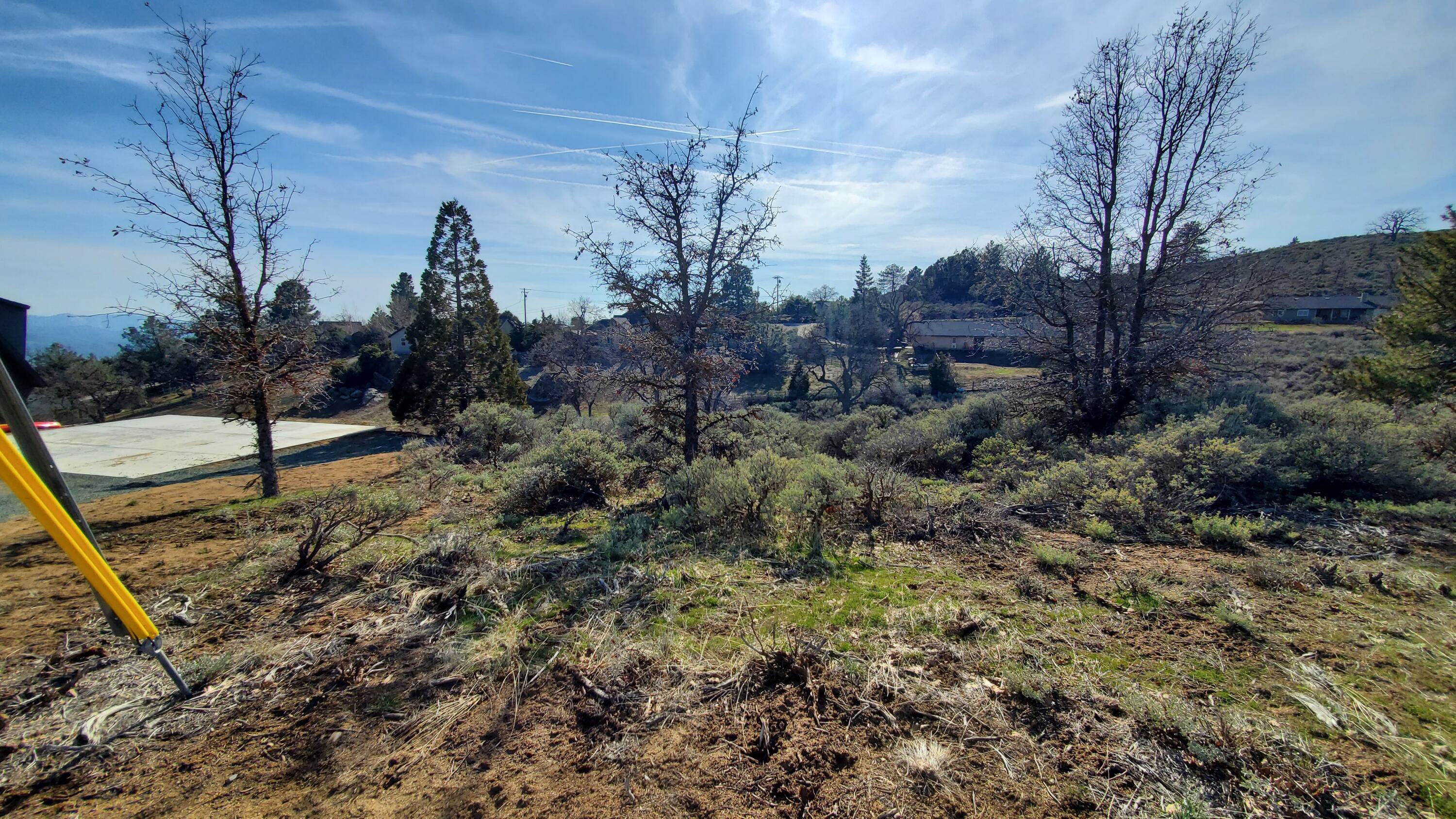 25041 Jacaranda Dr Property Photo 17