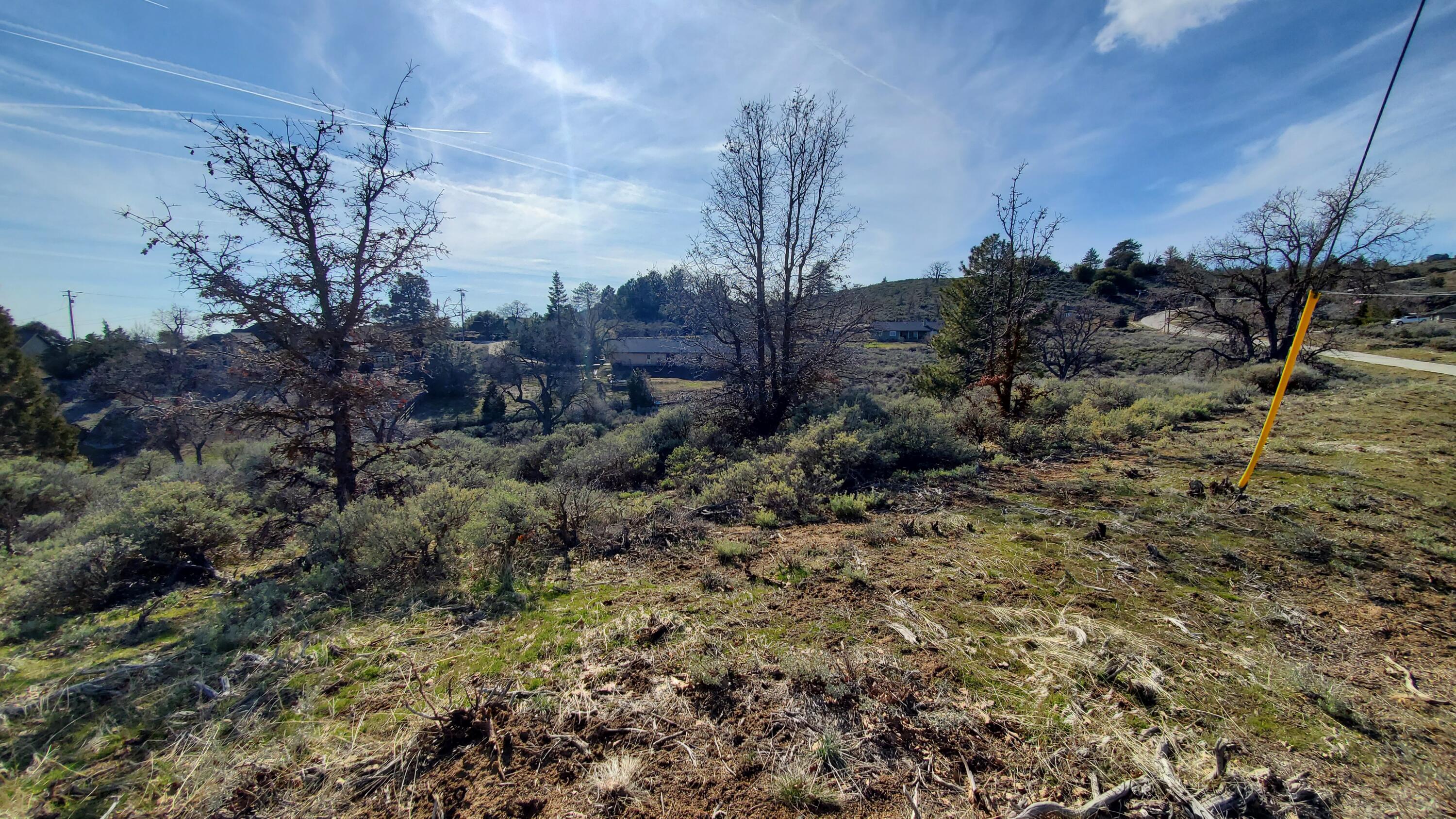25041 Jacaranda Dr Property Photo 18