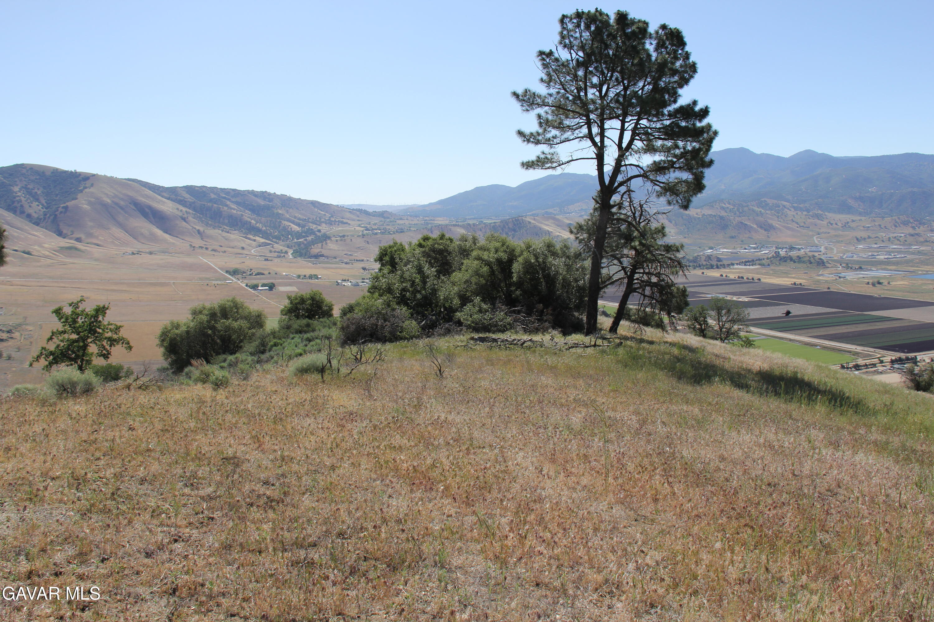 26540 Skyline Drive Property Photo 15