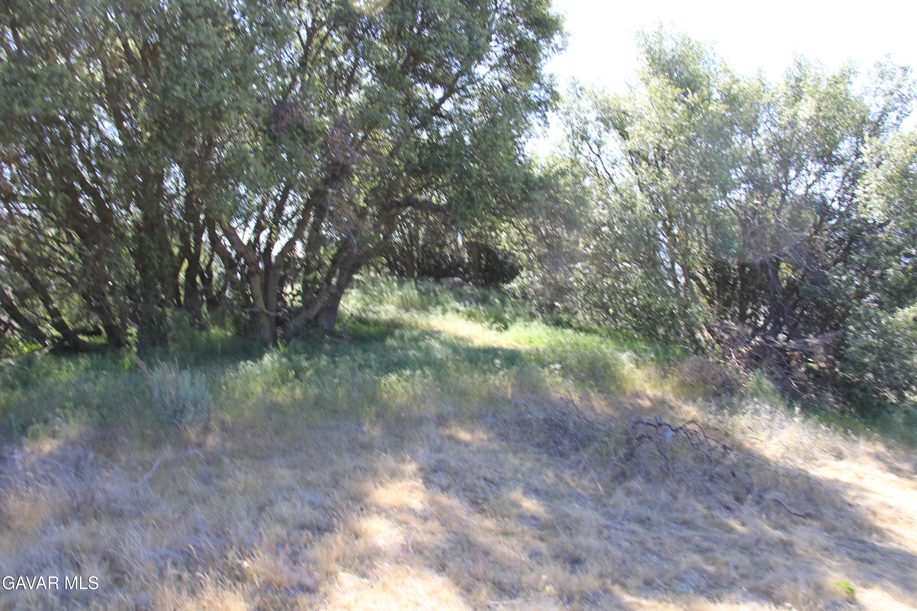 26540 Skyline Drive Property Photo 17