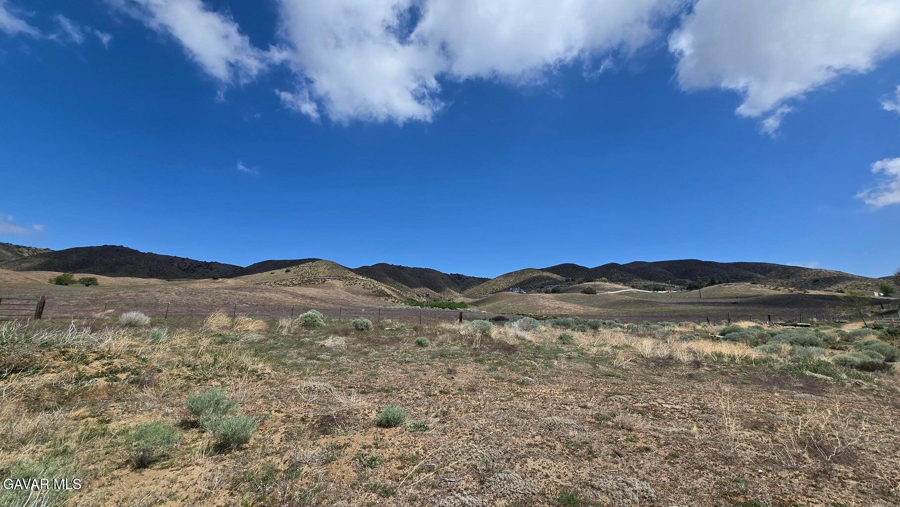 Cor Carbine Cyn 76th Stw Property Photo 13