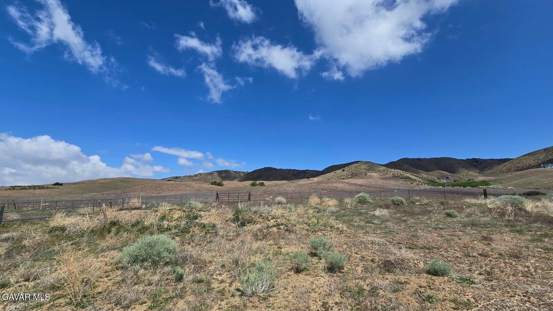 Cor Carbine Cyn 76th Stw Property Photo 14