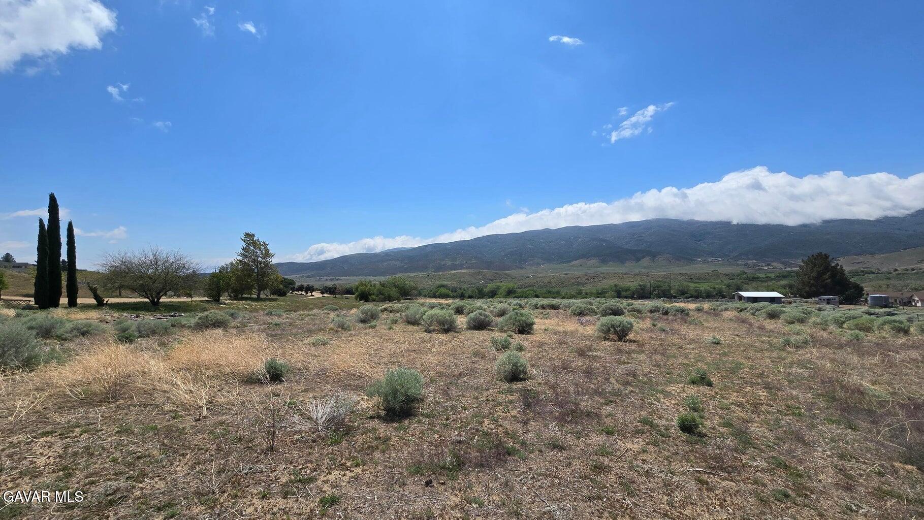 Cor Carbine Cyn 76th Stw Property Photo 15