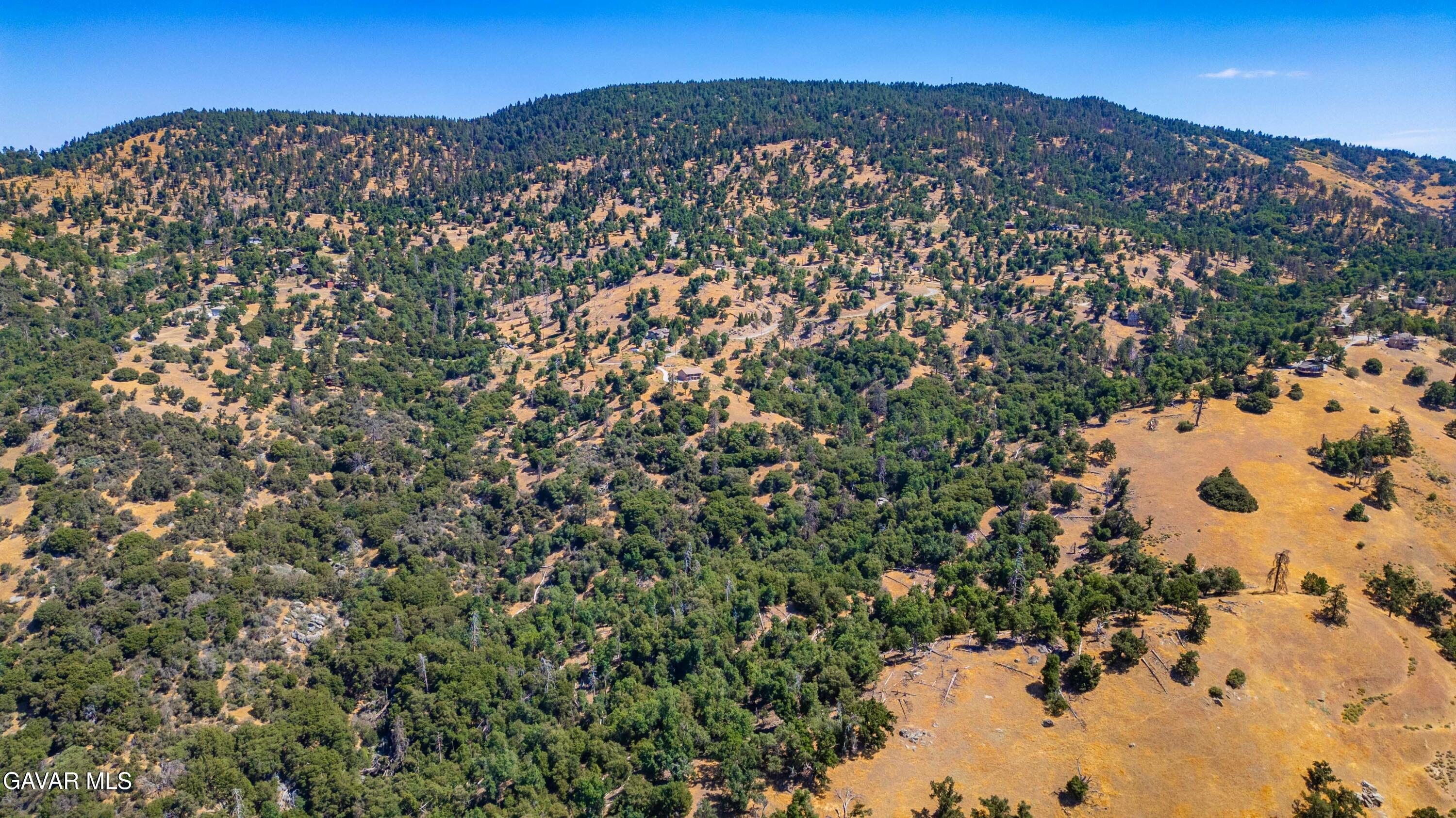 29600 Goldspike Road Property Photo 44