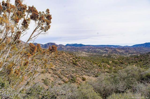 Quail Mountain Drive Property Photo 10