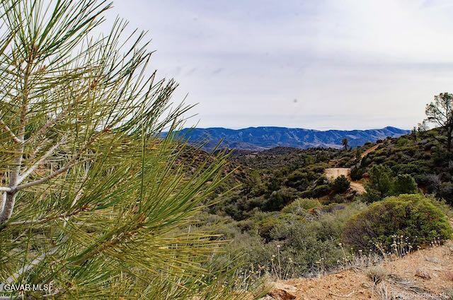Quail Mountain Drive Property Photo 13