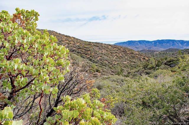 Quail Mountain Drive Property Photo 15