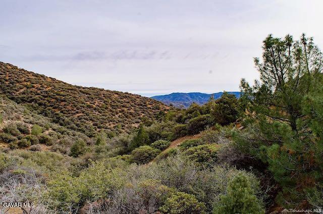 Quail Mountain Drive Property Photo 18