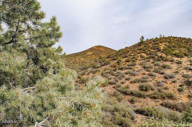 Quail Mountain Drive Property Photo 19