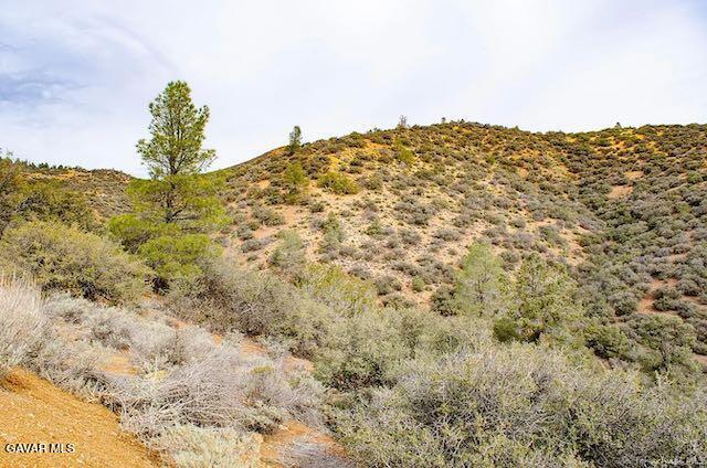 Quail Mountain Drive Property Photo 20