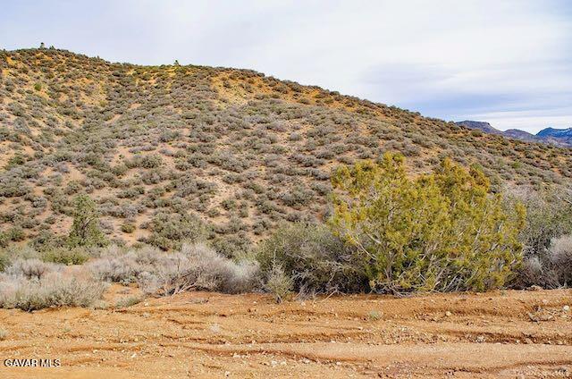 Quail Mountain Drive Property Photo 30