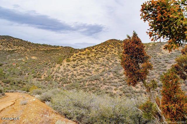 Quail Mountain Drive Property Photo 32
