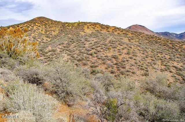 Quail Mountain Drive Property Photo 33